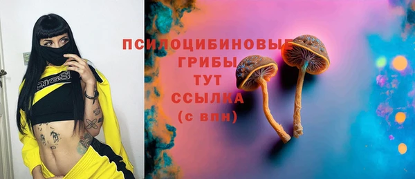 винт Баксан