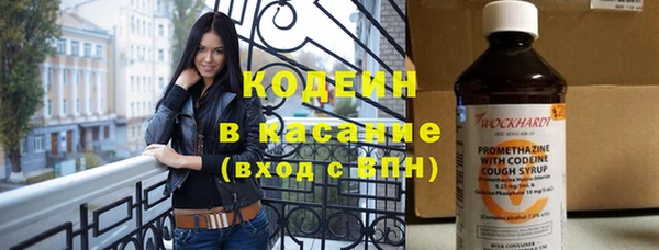 индика Балабаново