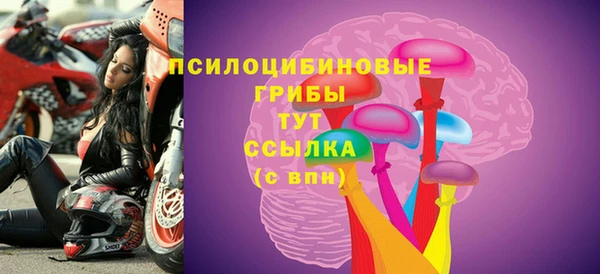 apvp Нягань