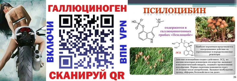 Галлюциногенные грибы прущие грибы  Змеиногорск 